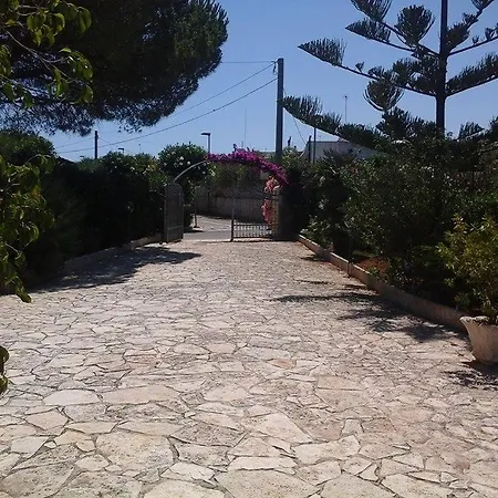Sole *